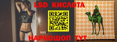 apvp Заводоуковск