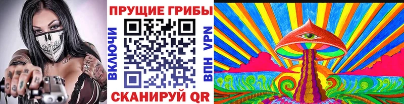 darknet клад  где найти наркотики  Тверь  Галлюциногенные грибы Psilocybine cubensis 