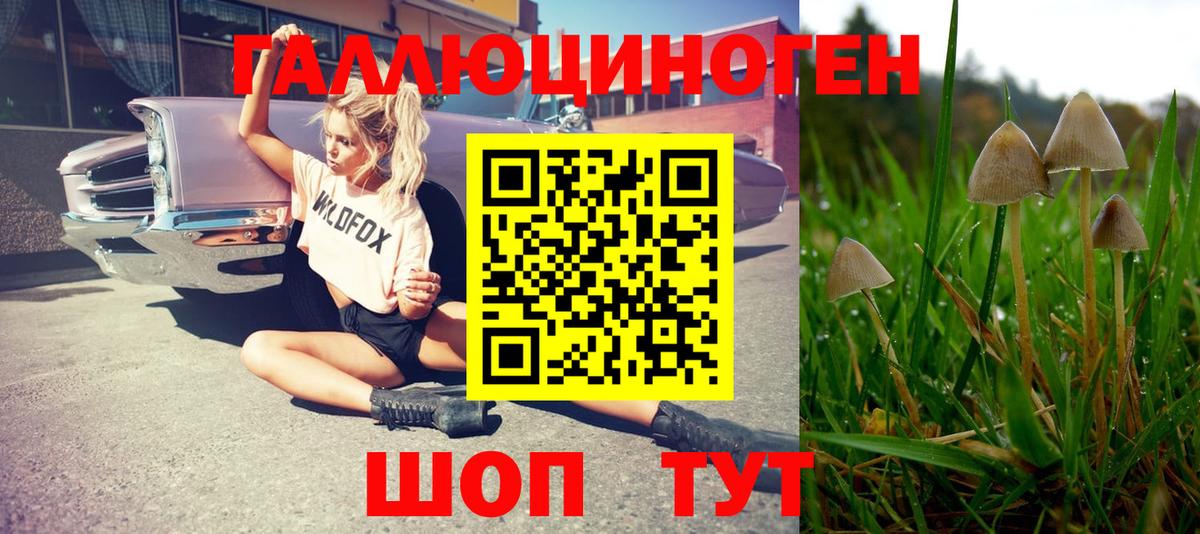Псилоцибиновые грибы ЛСД Тверь
