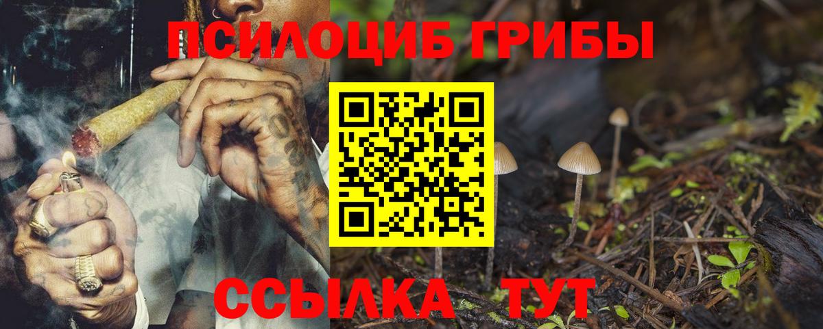 Тверь  Псилоцибиновые грибы мухоморы  Вход с VPN 
